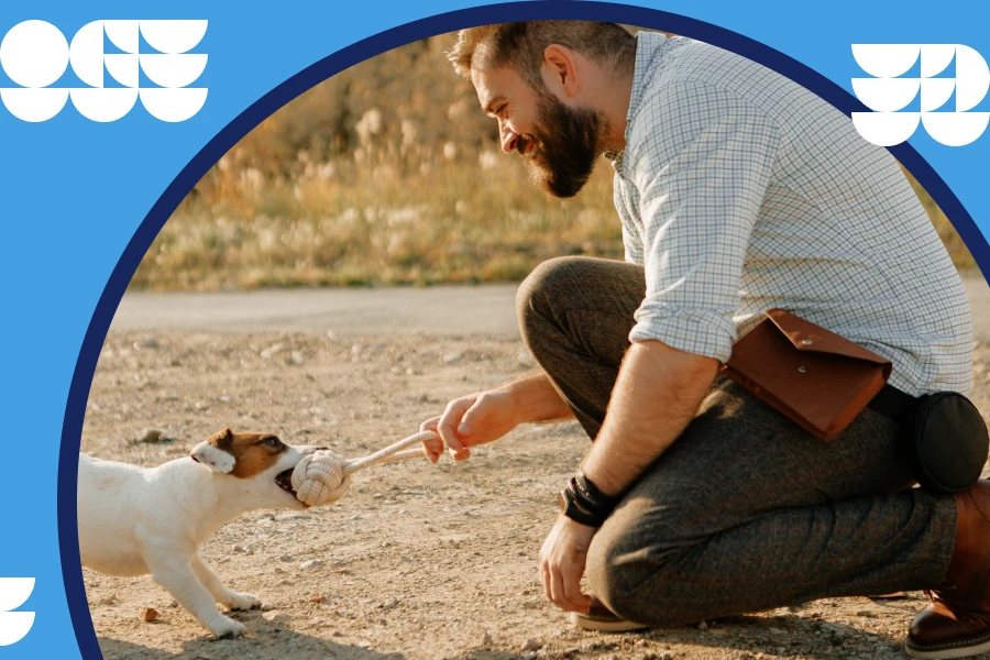 dog walking waist bag